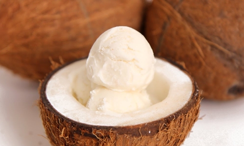 Coconut Ice Cream