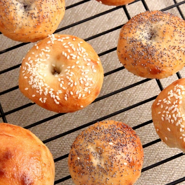 Homemade Bagels