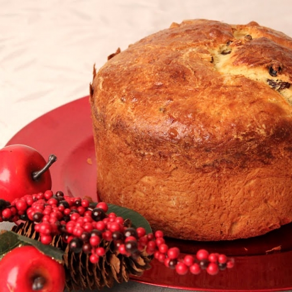 Panettone